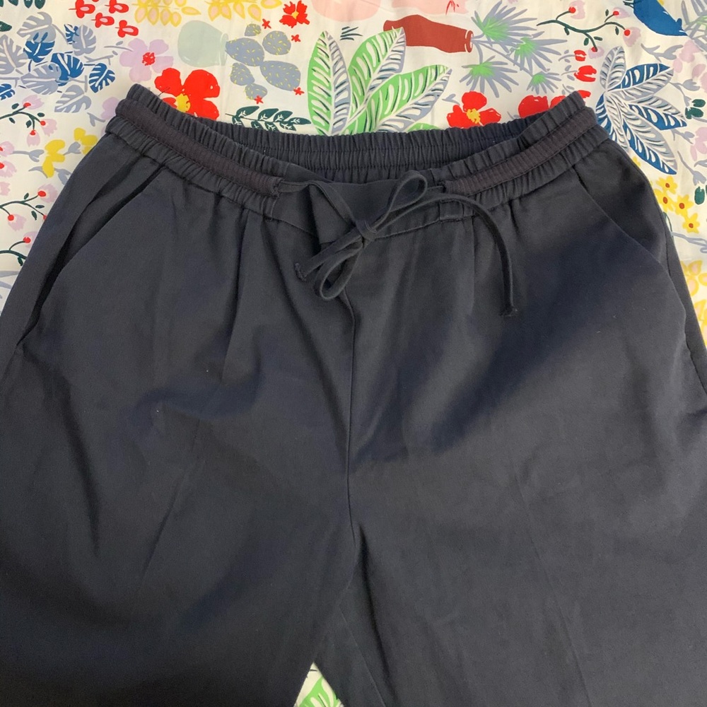 Zara Navy Blue Joggers